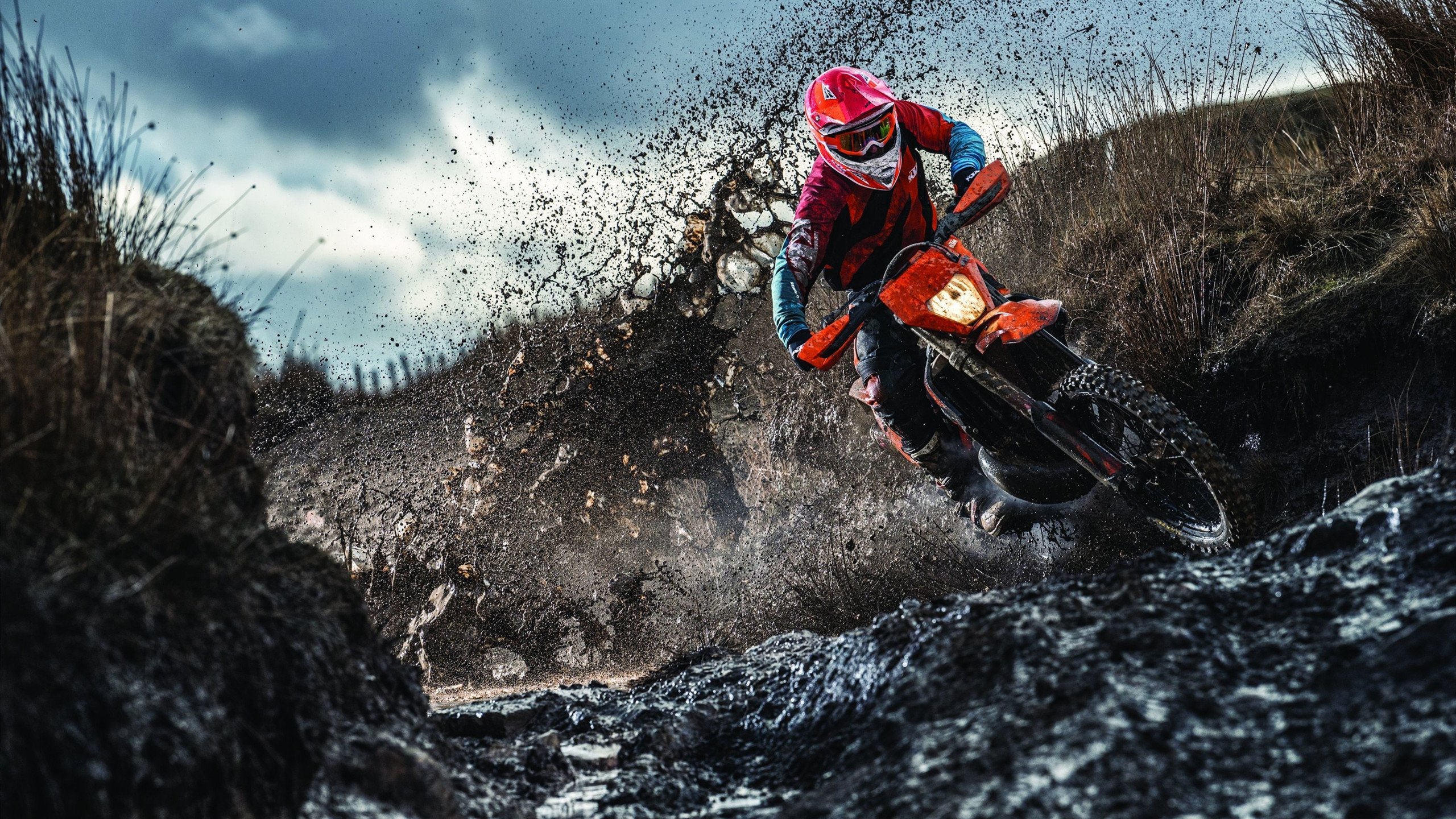 世界杯第三轮：葡萄牙轮换阵容仍取胜 小组头名晋级